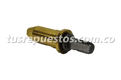 Tornillo Tapa Grande Institucional
